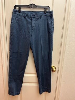 Style & Co. Skinny Pants in Deep Blue